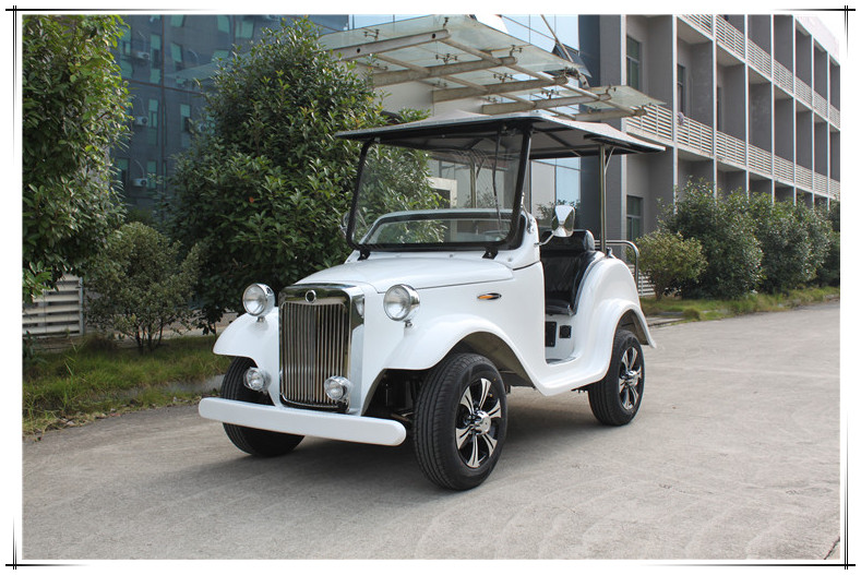 湖南大丰和厂家直销4座白色电动旅游观光车